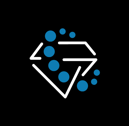 logo simple en bleu de Networkvb