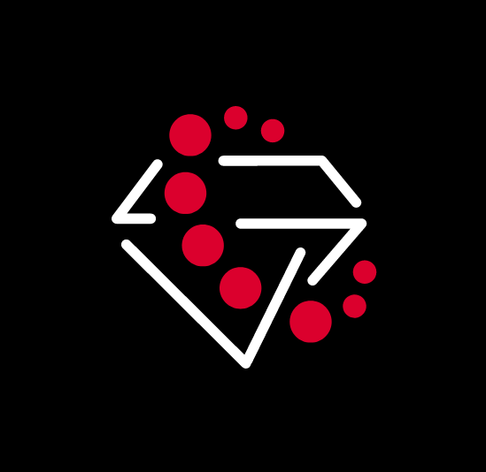 logo simple en rouge de Networkvb